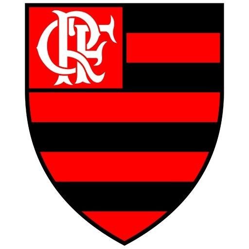 Flamengo: estreia com vitória na Libertadores 2026 fla